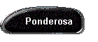 Ponderosa